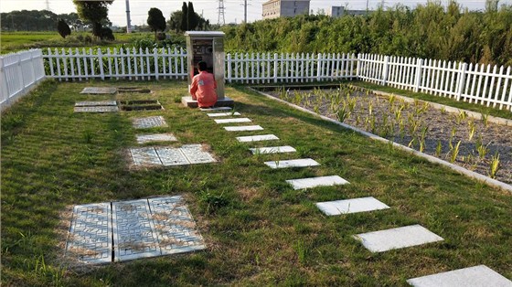 宿迁农村污水处理项目