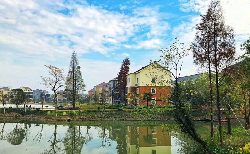 浙江西湖区