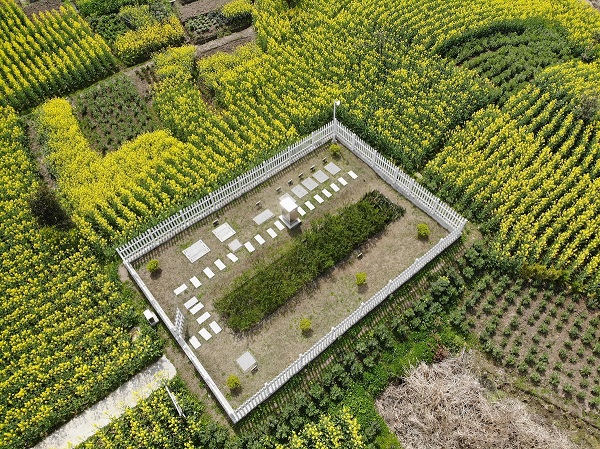 仅需2周，水质就稳定达标！这种一体化生活必威西汉姆网页版
供不应求